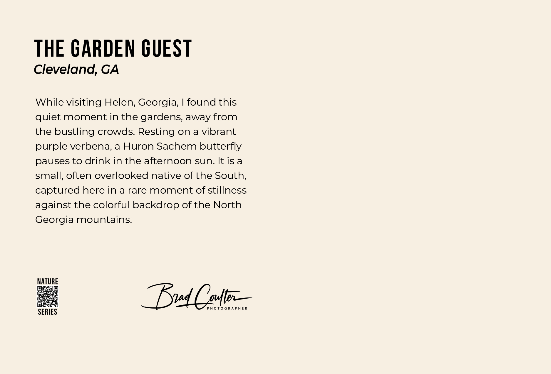 Butterfly postcard back