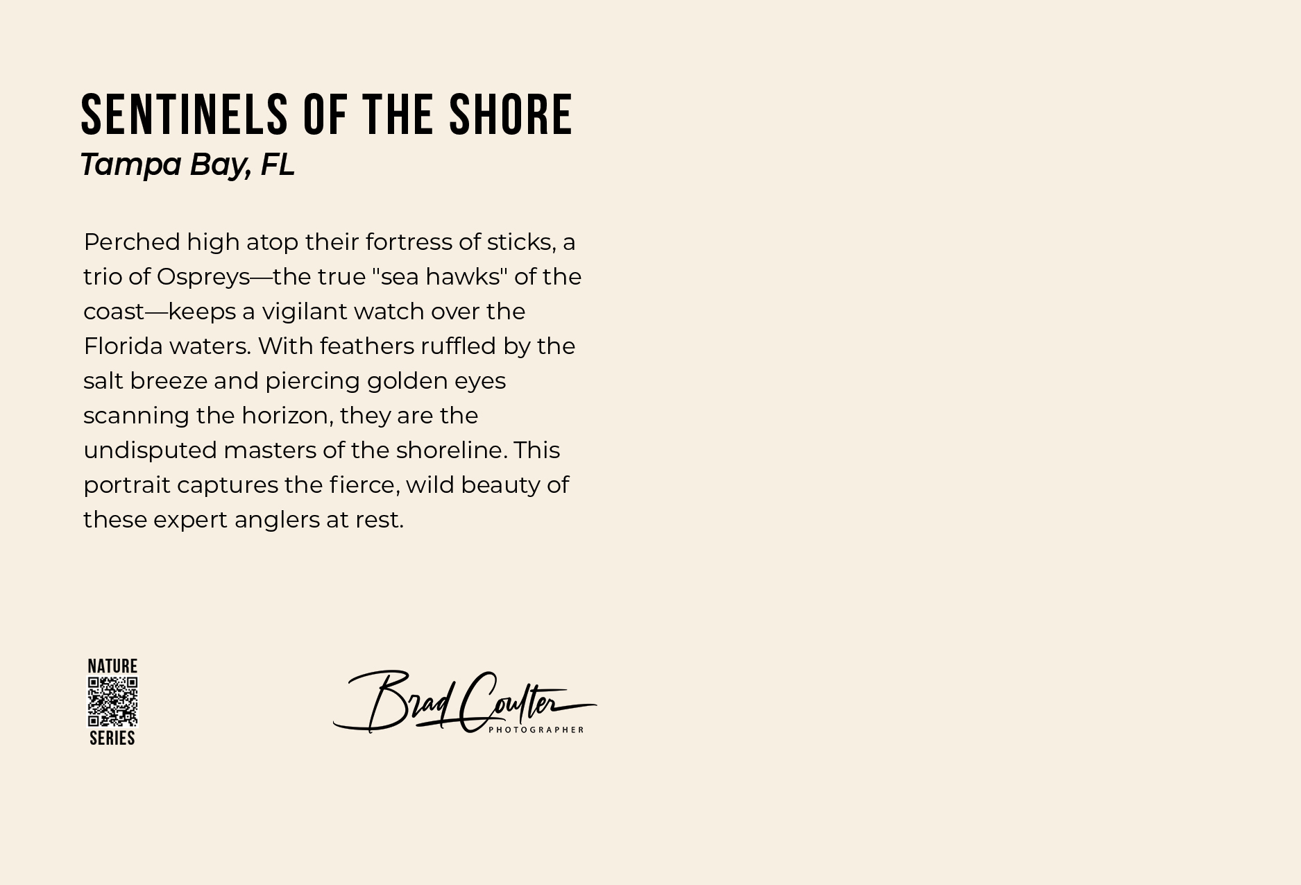 Seahawks postcard back